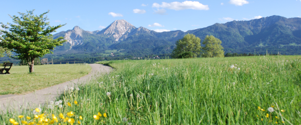 Faaker See Ausblick vom Ferienhaus Urschitz. Weg zum Strandbad.